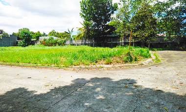 Lot For Sale in Mission Hills, Antipolo, Rizal