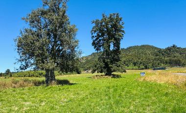 PARCELAS CON VISTA FULL PANORAMICA AL LAGO Y VOLCAN - BOSQUE MIRADOR
