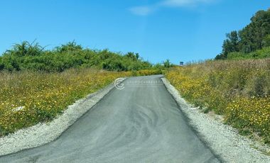 PARCELAS CON VISTA FULL PANORAMICA AL LAGO Y VOLCAN - BOSQUE MIRADOR