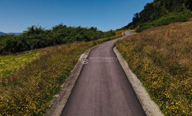 PARCELAS CON VISTA FULL PANORAMICA AL LAGO Y VOLCAN - BOSQUE MIRADOR