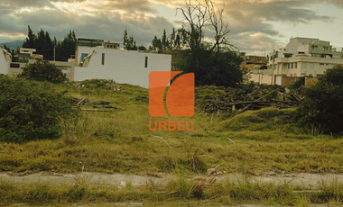 Venta- Un lugar ideal para el crecimiento inmobiliario: estos terrenosen venta  son la clave para un negocio exitoso/24URB17