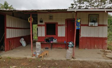 FINCA FAVORABLE EN AMALFI ANTIOQUIA COLOMBIA.