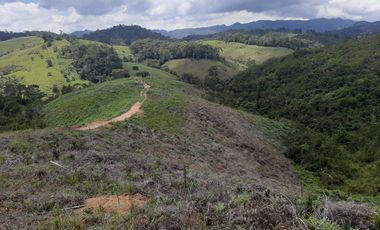 FINCA FAVORABLE EN AMALFI ANTIOQUIA COLOMBIA.