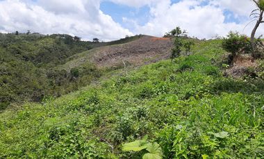 FINCA FAVORABLE EN AMALFI ANTIOQUIA COLOMBIA.