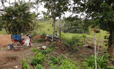 FINCA FAVORABLE EN AMALFI ANTIOQUIA COLOMBIA.