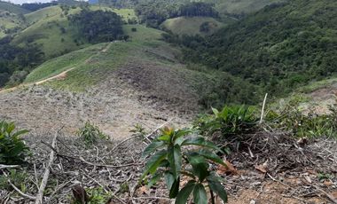 FINCA FAVORABLE EN AMALFI ANTIOQUIA COLOMBIA.