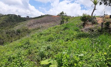 FINCA FAVORABLE EN AMALFI ANTIOQUIA COLOMBIA.