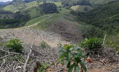 FINCA FAVORABLE EN AMALFI ANTIOQUIA COLOMBIA.