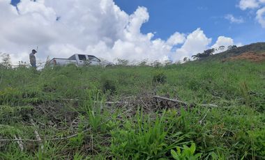 FINCA FAVORABLE EN AMALFI ANTIOQUIA COLOMBIA.