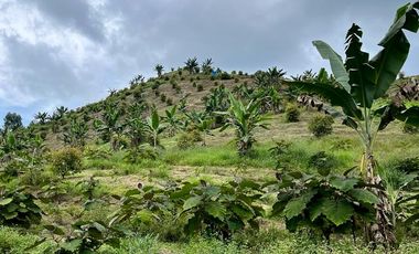 VENTA FINCA LA ITALIA-RIO FRIO