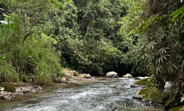 VENTA FINCA LA ITALIA-RIO FRIO