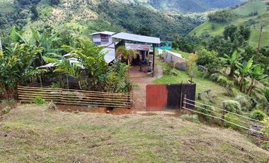 VENTA FINCA LA ITALIA-RIO FRIO