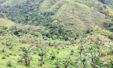 VENTA FINCA LA ITALIA-RIO FRIO