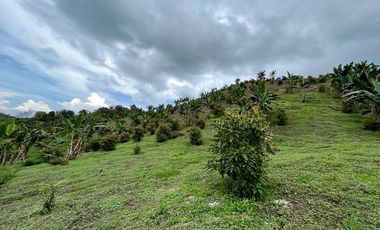 VENTA FINCA LA ITALIA-RIO FRIO