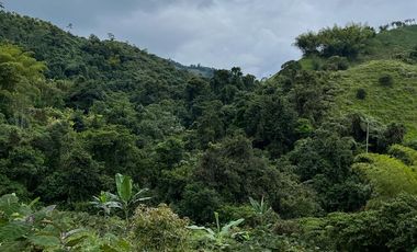 VENTA FINCA LA ITALIA-RIO FRIO