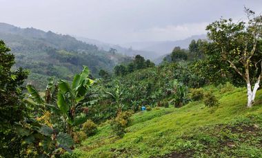 VENTA FINCA LA ITALIA-RIO FRIO