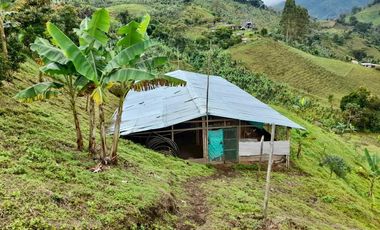 VENTA FINCA LA ITALIA-RIO FRIO