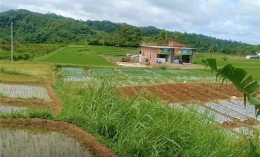 Rumah Siap Huni Jl Raya Solo Tawangmangu Karanganyar