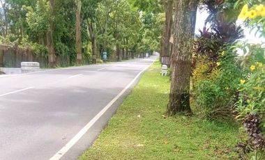 Rumah Siap Huni Jl Raya Solo Tawangmangu Karanganyar