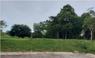 Best Buy Ayala Westgrove Height Residential Lot For Sale in Silang Cavite 2 KM From CALAX