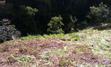 VENDO TERRENO DE 3 CUADRAS CON 4 EXPLANACIONES EN BARBOSA ANTIOQUIA.