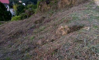 VENDO TERRENO DE 3 CUADRAS CON 4 EXPLANACIONES EN BARBOSA ANTIOQUIA.