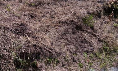 VENDO TERRENO DE 3 CUADRAS CON 4 EXPLANACIONES EN BARBOSA ANTIOQUIA.