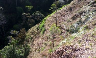 VENDO TERRENO DE 3 CUADRAS CON 4 EXPLANACIONES EN BARBOSA ANTIOQUIA.