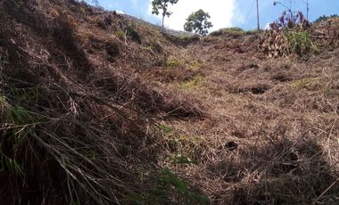 VENDO TERRENO DE 3 CUADRAS CON 4 EXPLANACIONES EN BARBOSA ANTIOQUIA.