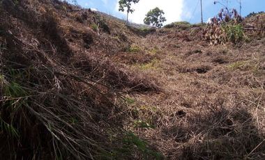 VENDO TERRENO DE 3 CUADRAS CON 4 EXPLANACIONES EN BARBOSA ANTIOQUIA.