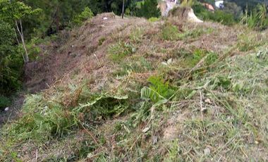 VENDO TERRENO DE 3 CUADRAS CON 4 EXPLANACIONES EN BARBOSA ANTIOQUIA.