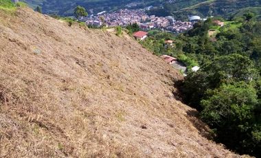 VENDO TERRENO DE 3 CUADRAS CON 4 EXPLANACIONES EN BARBOSA ANTIOQUIA.