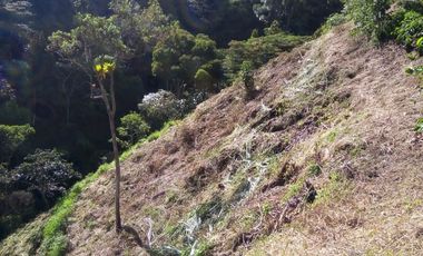 VENDO TERRENO DE 3 CUADRAS CON 4 EXPLANACIONES EN BARBOSA ANTIOQUIA.