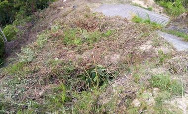VENDO TERRENO DE 3 CUADRAS CON 4 EXPLANACIONES EN BARBOSA ANTIOQUIA.