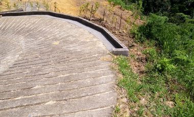 VENDO TERRENO DE 3 CUADRAS CON 4 EXPLANACIONES EN BARBOSA ANTIOQUIA.