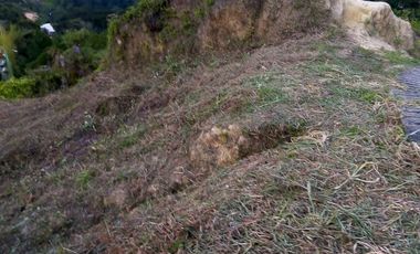 VENDO TERRENO DE 3 CUADRAS CON 4 EXPLANACIONES EN BARBOSA ANTIOQUIA.