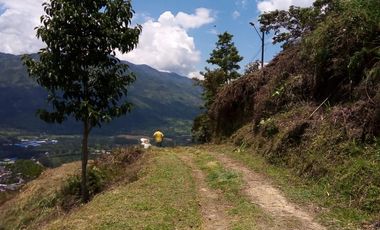 VENDO TERRENO DE 3 CUADRAS CON 4 EXPLANACIONES EN BARBOSA ANTIOQUIA.