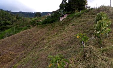 VENDO TERRENO DE 3 CUADRAS CON 4 EXPLANACIONES EN BARBOSA ANTIOQUIA.
