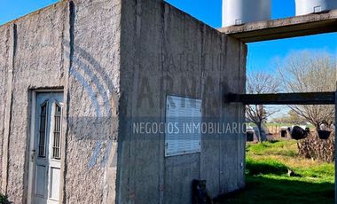 Se vende chacra de 3 hectáreas de campo en la localidad de Polvaredas.