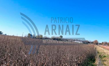 Se vende chacra de 3 hectáreas de campo en la localidad de Polvaredas.