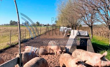 Se vende chacra de 3 hectáreas de campo en la localidad de Polvaredas.