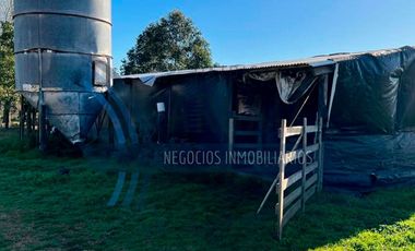 Se vende chacra de 3 hectáreas de campo en la localidad de Polvaredas.