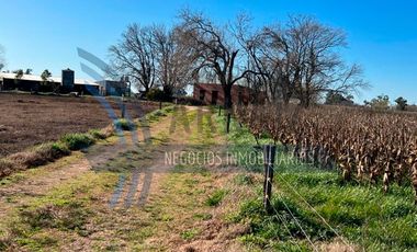 Se vende chacra de 3 hectáreas de campo en la localidad de Polvaredas.