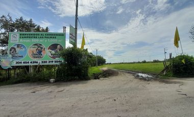Venta de lotes de 1000M2, ubicado en Flandes, Tolima.