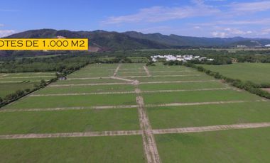 Venta de lotes de 1000M2, ubicado en Flandes, Tolima.