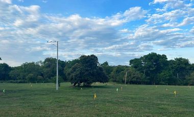 Venta de lotes de 1000M2, ubicado en Flandes, Tolima.
