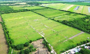 Venta de lotes de 1000M2, ubicado en Flandes, Tolima.