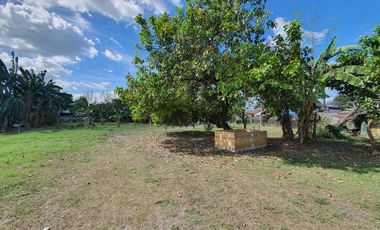 Commercial Land for Long-Term Lease in Concepcion, Tarlac