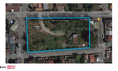 Commercial Land for Long-Term Lease in Concepcion, Tarlac