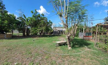 Commercial Land for Long-Term Lease in Concepcion, Tarlac